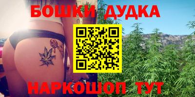 ALPHA-PVP Новозыбков